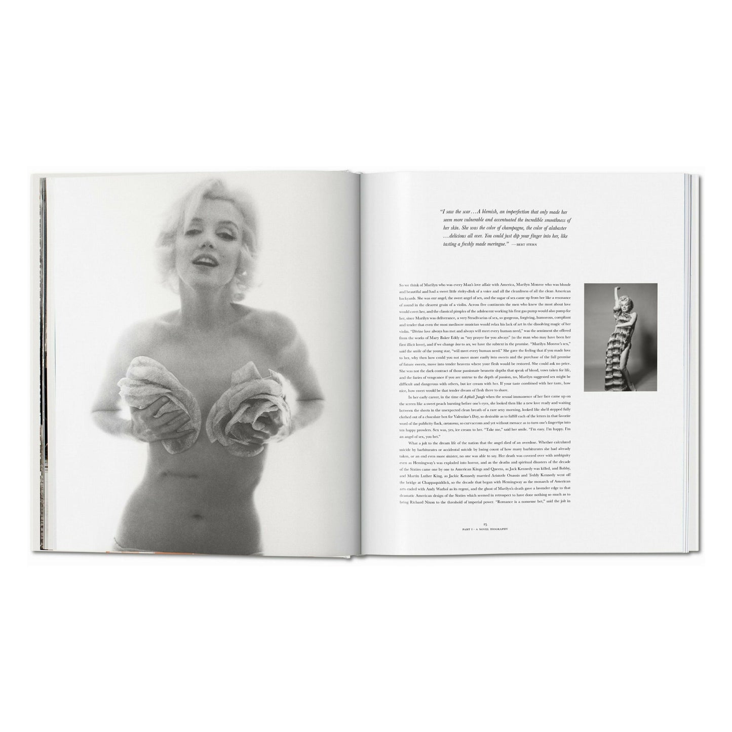 Norman Mailer. Bert Stern. Marilyn Monroe (English)