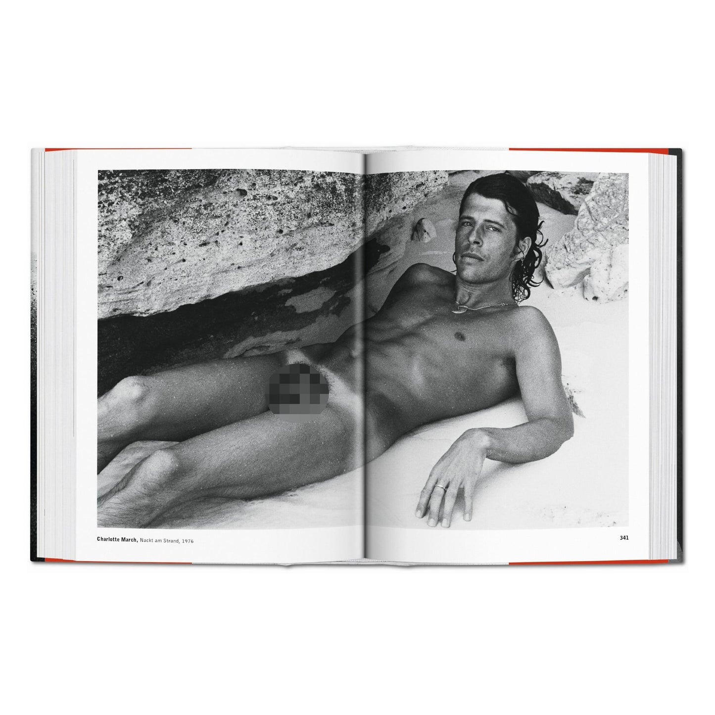 The Male Nude (Spanish, Italian, Portuguese)