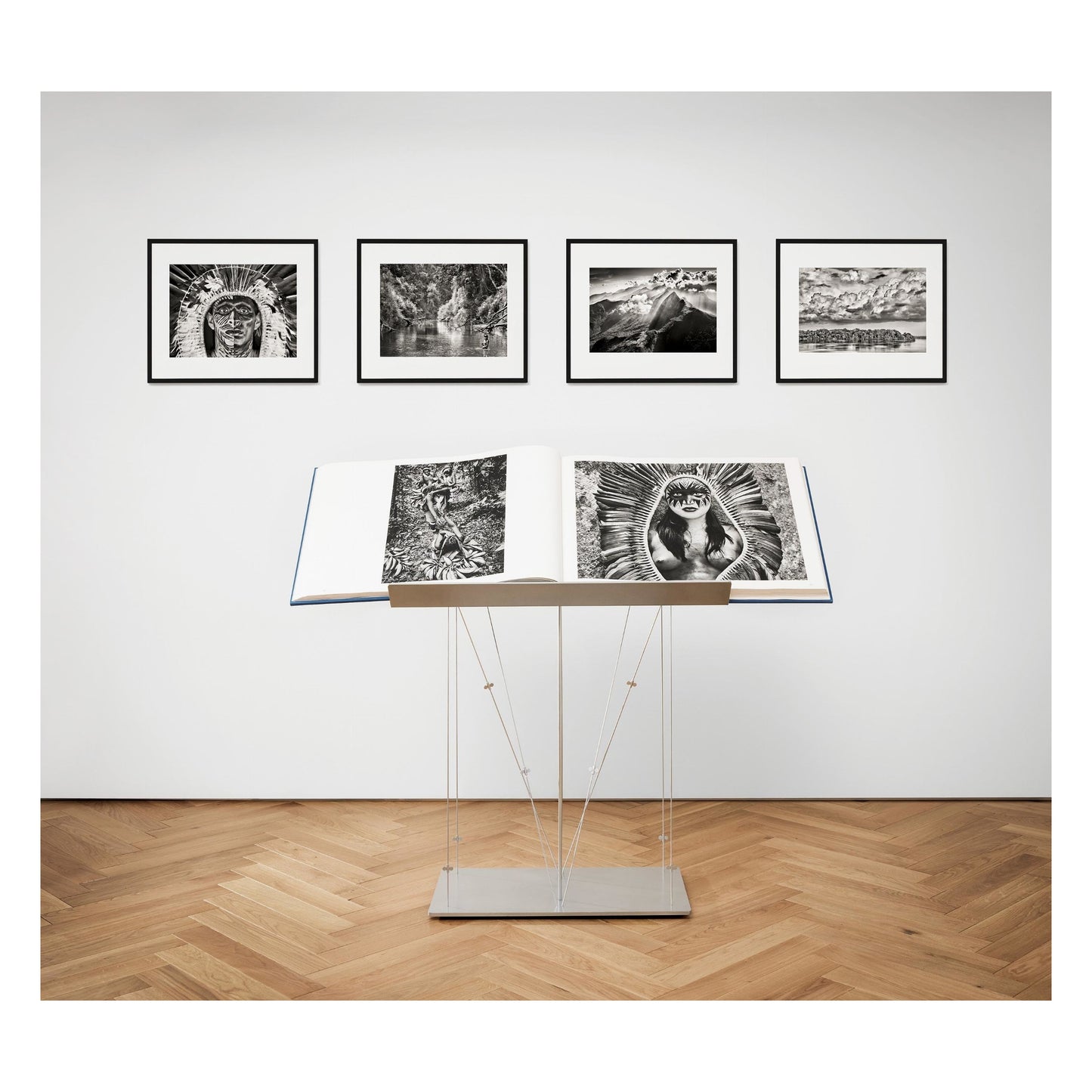 Sebastião Salgado. Amazônia. Art B (English) (AP)