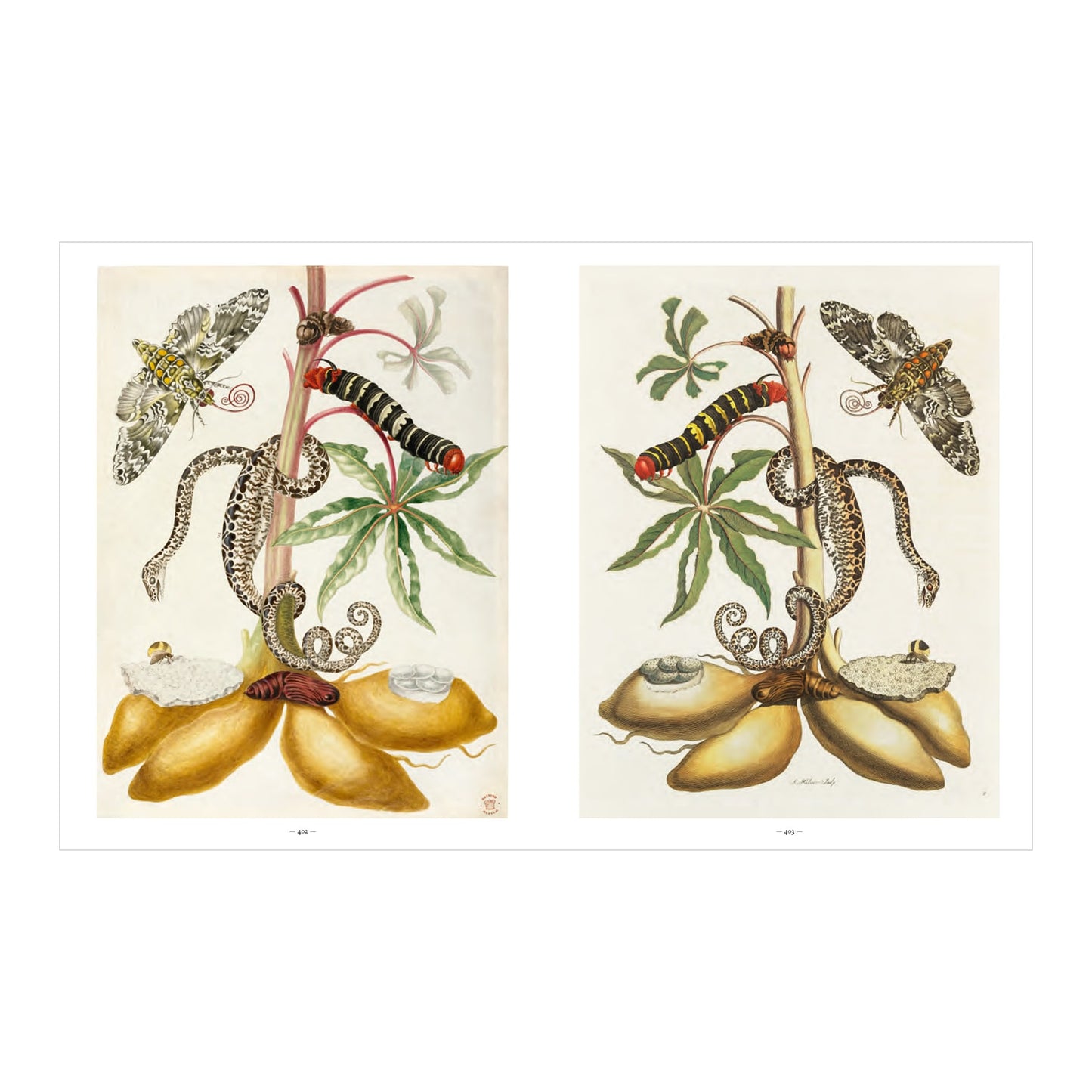 Merian (German, Spanish, French, English)