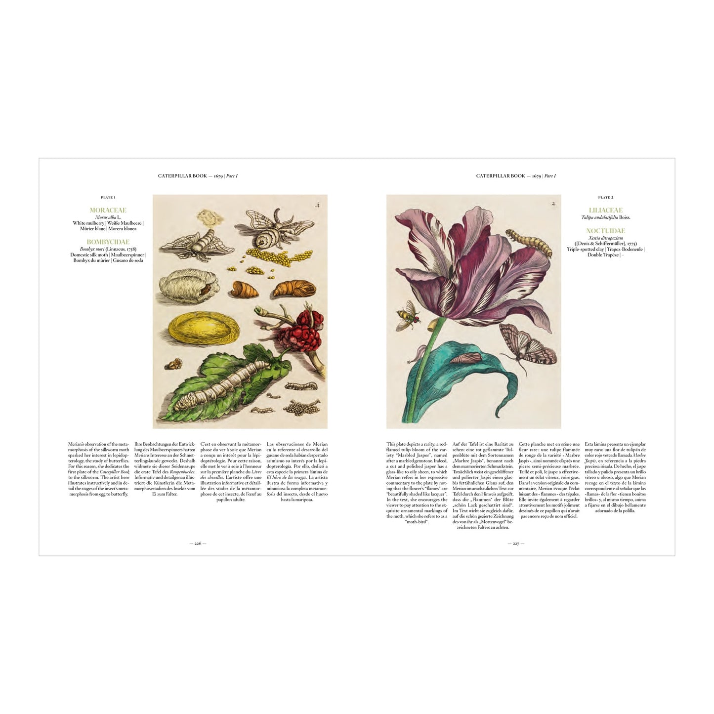 Merian (German, Spanish, French, English)
