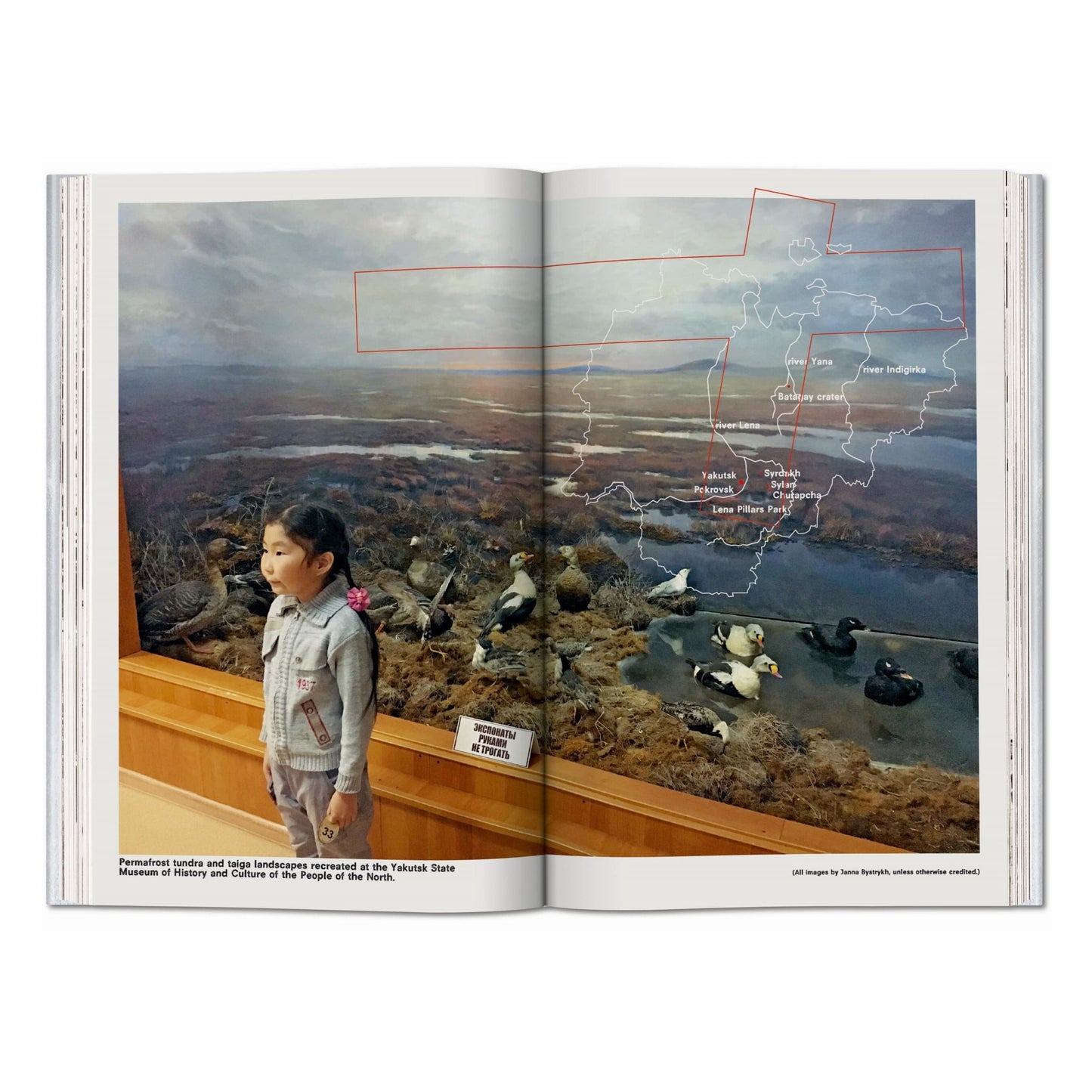 Koolhaas. Countryside, A Report (English)
