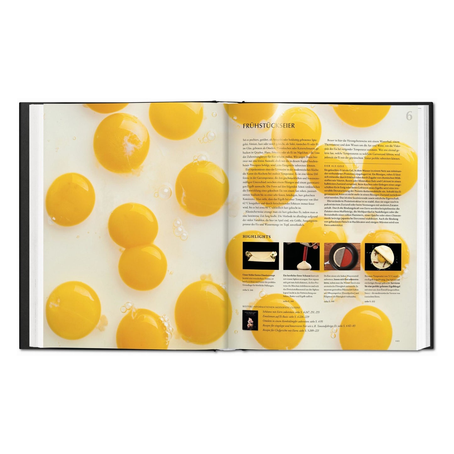 Modernist Cuisine at Home (Spanish)