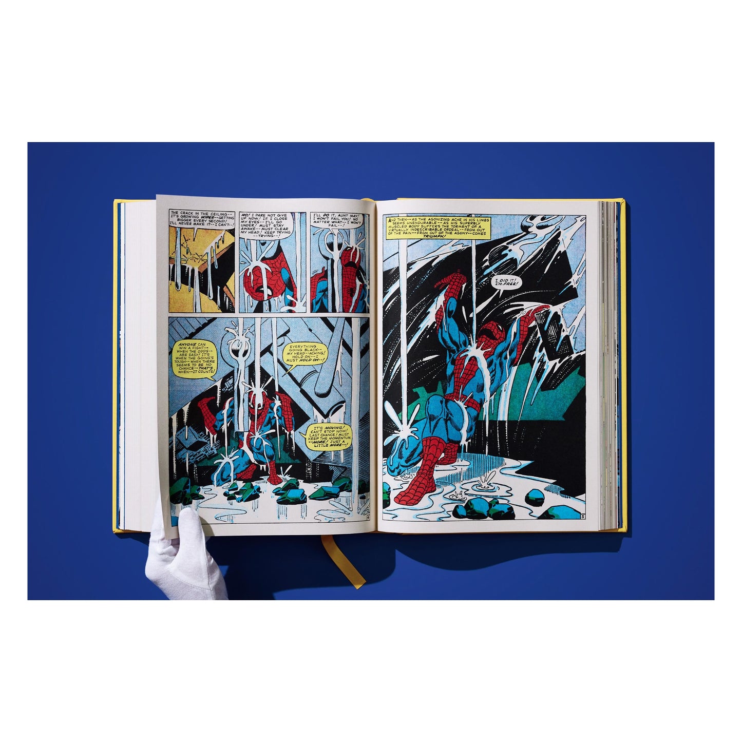 Marvel Comics Library. Spider-Man. Vol. 2. 1965–1966 (English) (AP)
