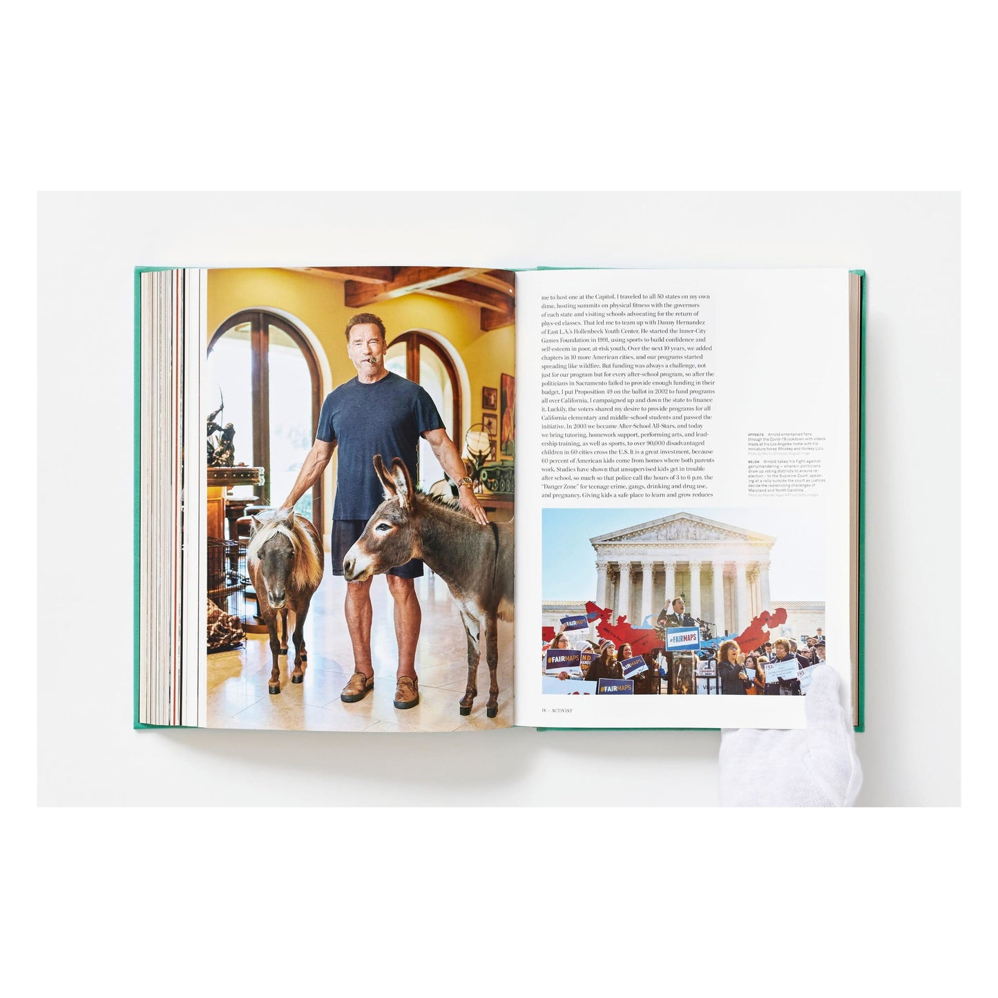 ARNOLD. Capitello Edition (English) (SA)