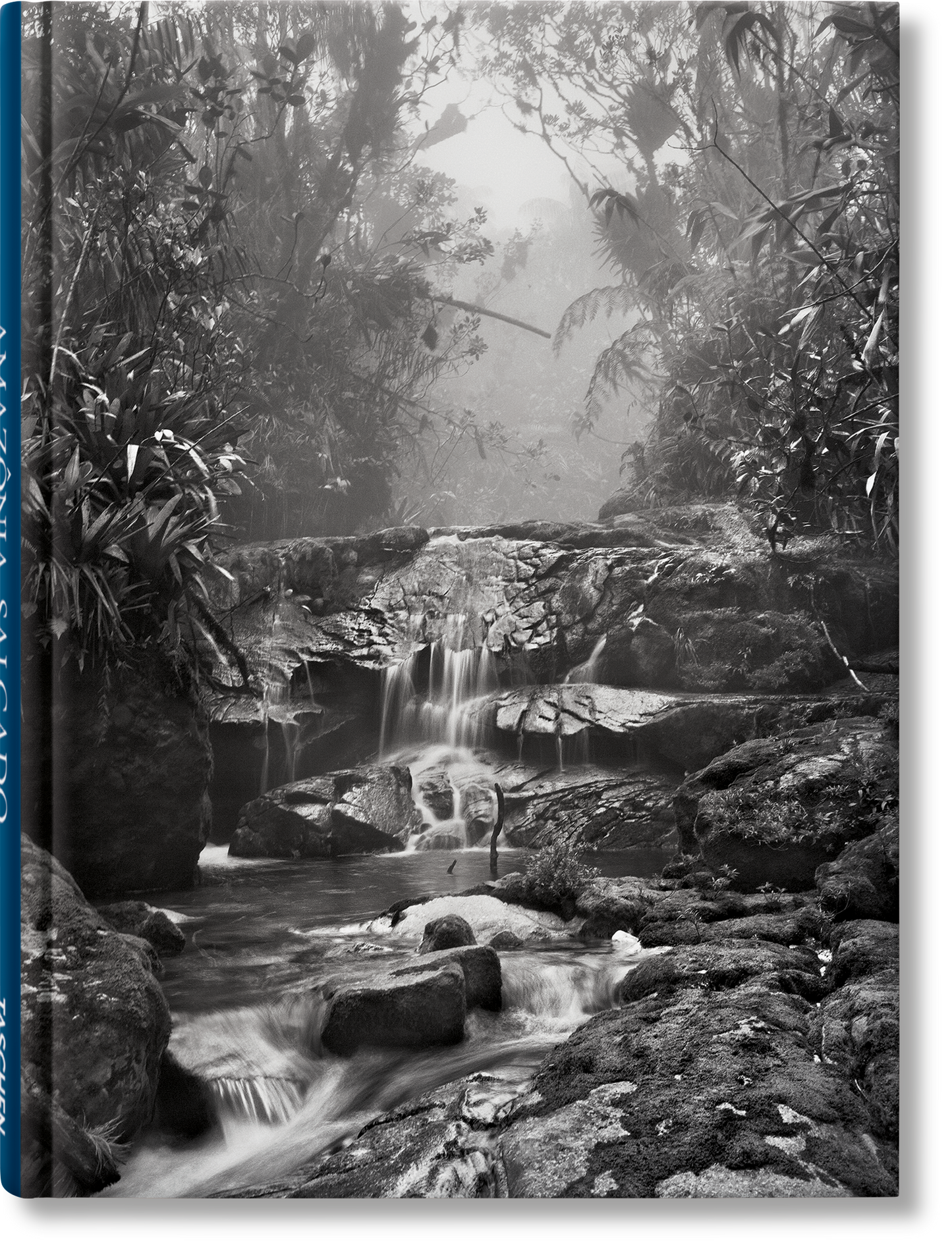 Sebastião Salgado. Amazônia. Notebook ‘Creek’