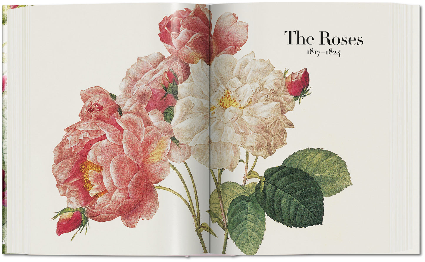 Redouté. The Book of Flowers (German, French, English)