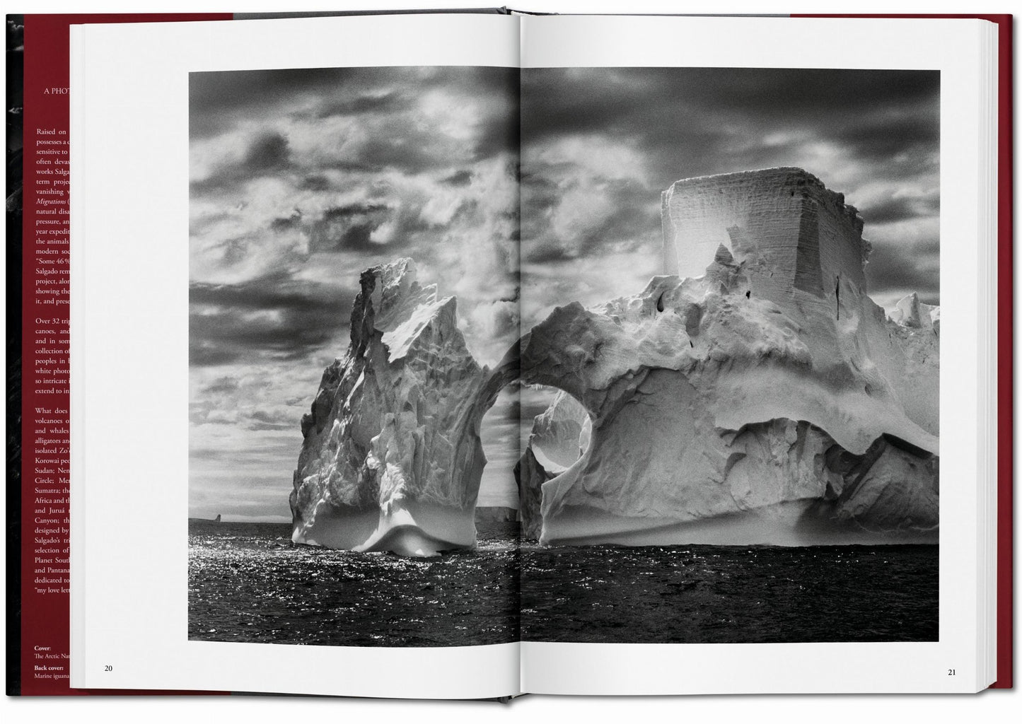 Sebastião Salgado. Genesis (French)