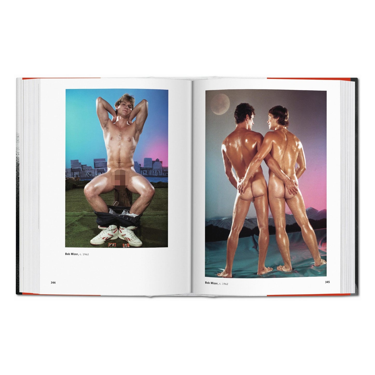 The Male Nude (Spanish, Italian, Portuguese)