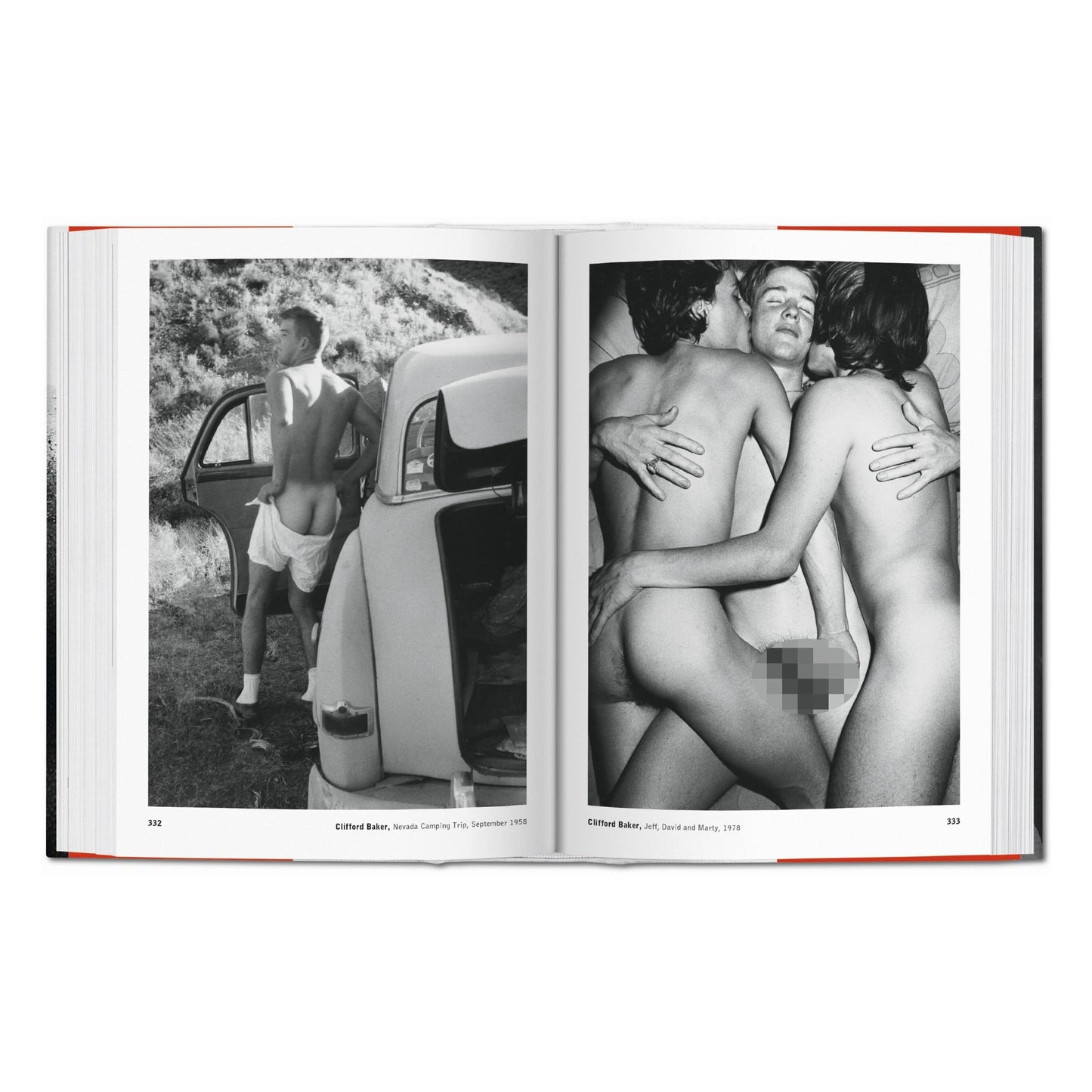 The Male Nude (Spanish, Italian, Portuguese)