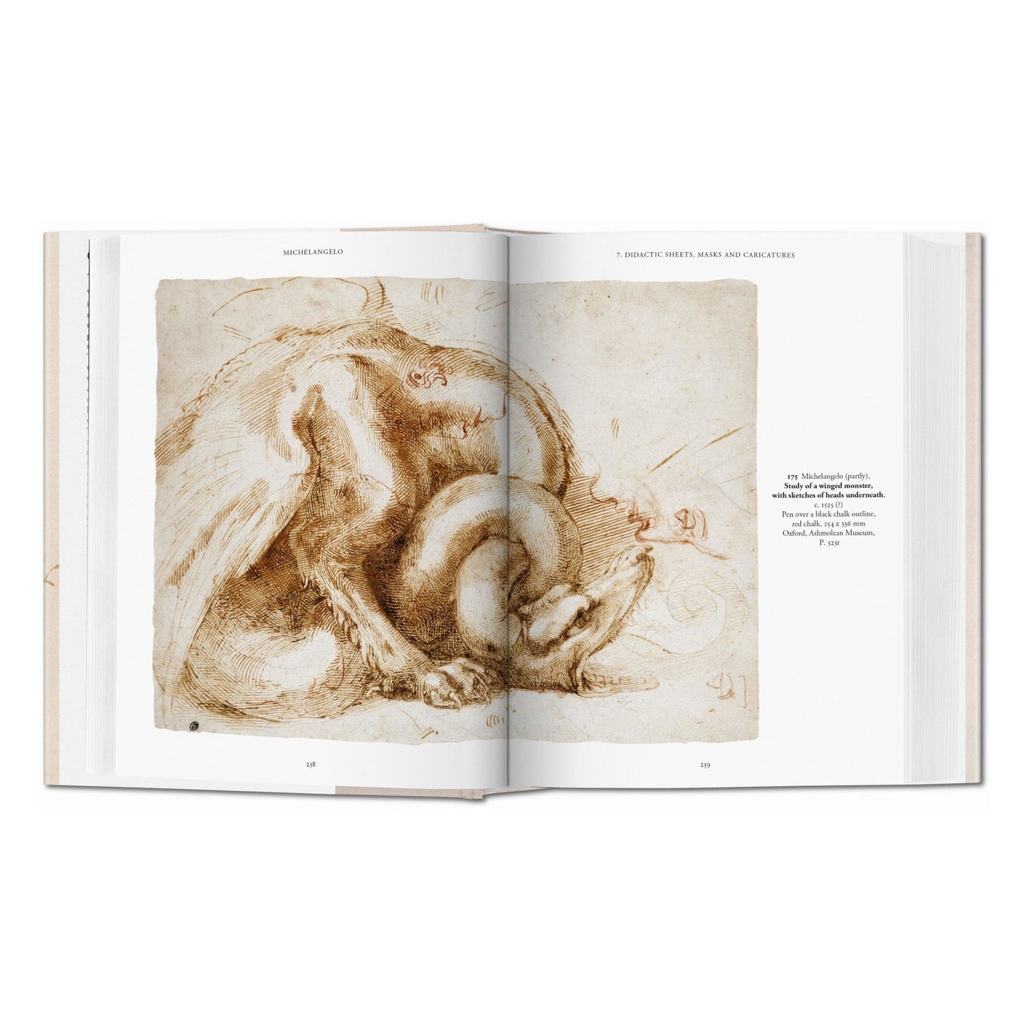 Michel-Ange. L'œuvre graphique (French)