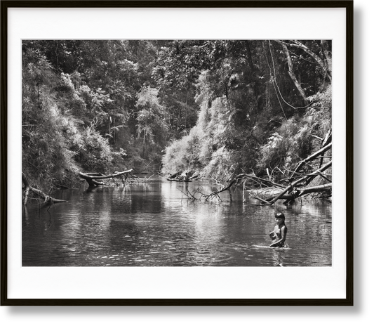 Sebastião Salgado. Amazônia. Art B (English) (AP)