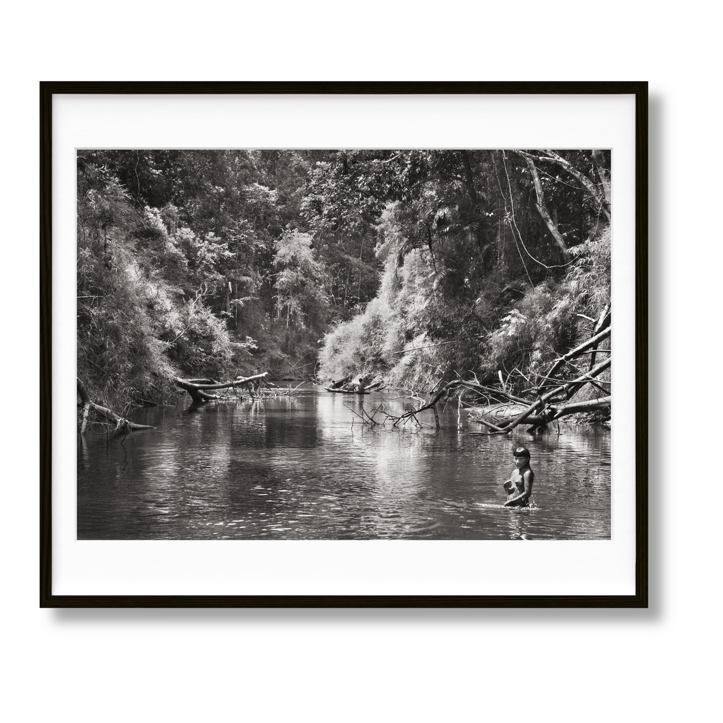 Sebastião Salgado. Amazônia. Art B (English) (AP)