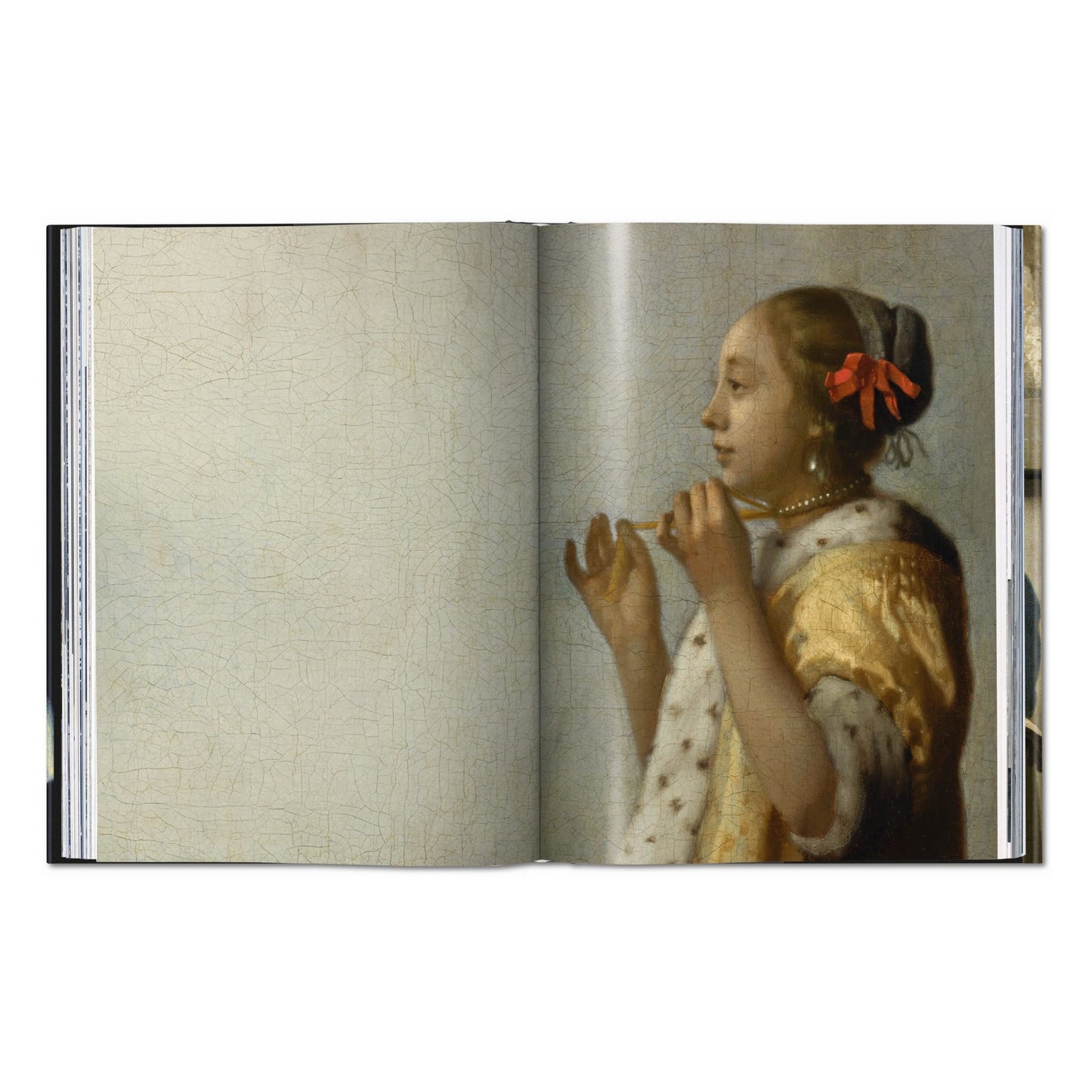 Vermeer. La obra completa (Spanish)