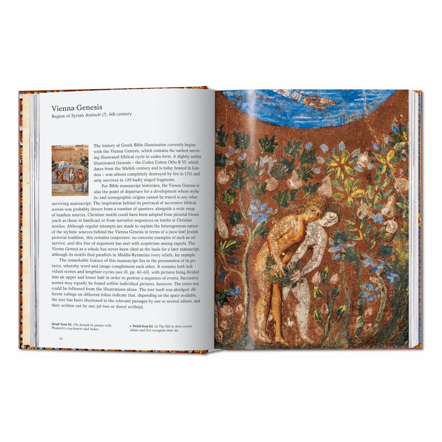 Le Livre des Bibles. 40th Ed. (French)