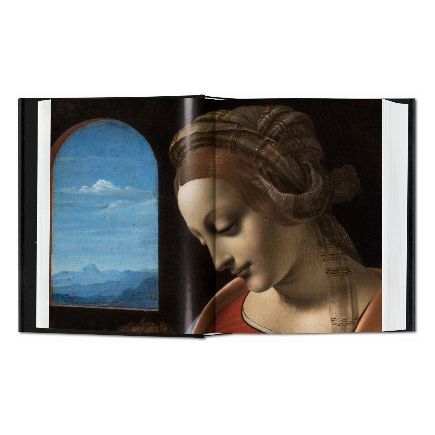 Léonard de Vinci. Tout l'œuvre peint (French)