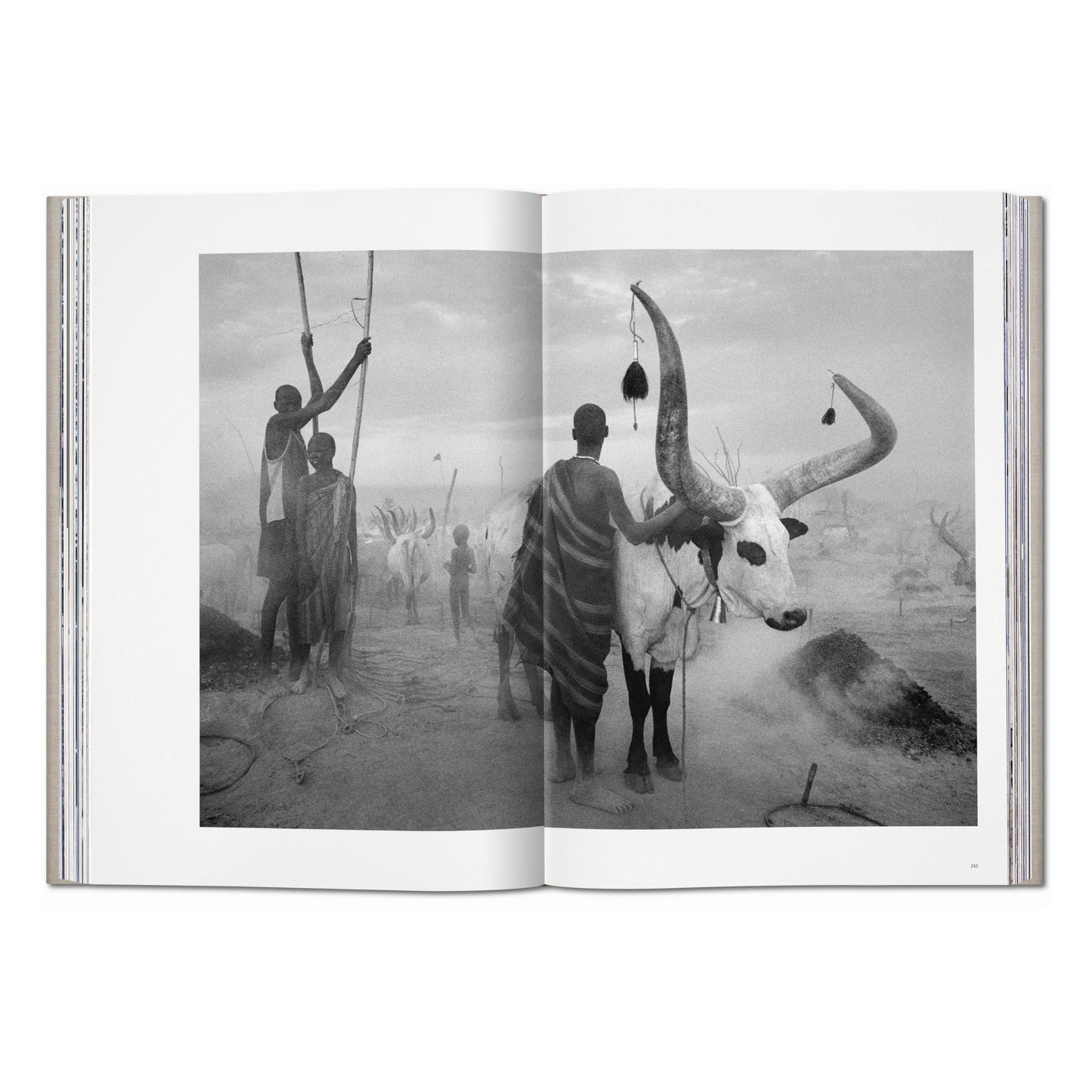 Sebastião Salgado. Genesis (English)
