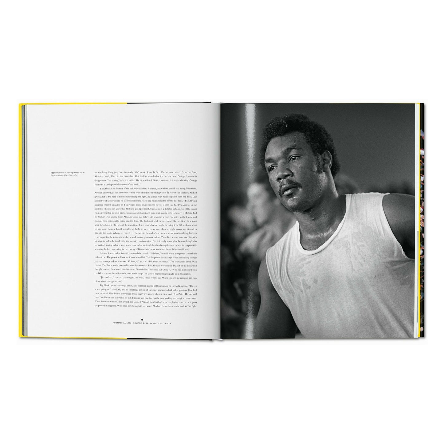 Norman Mailer. Neil Leifer. Howard L. Bingham. The Fight (English)