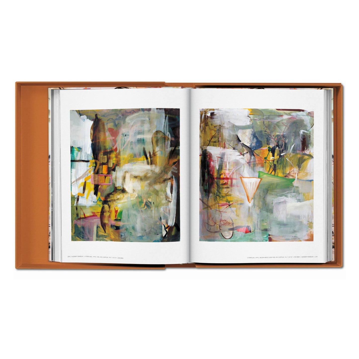 Albert Oehlen. Art Edition (German, French, English) (AP)