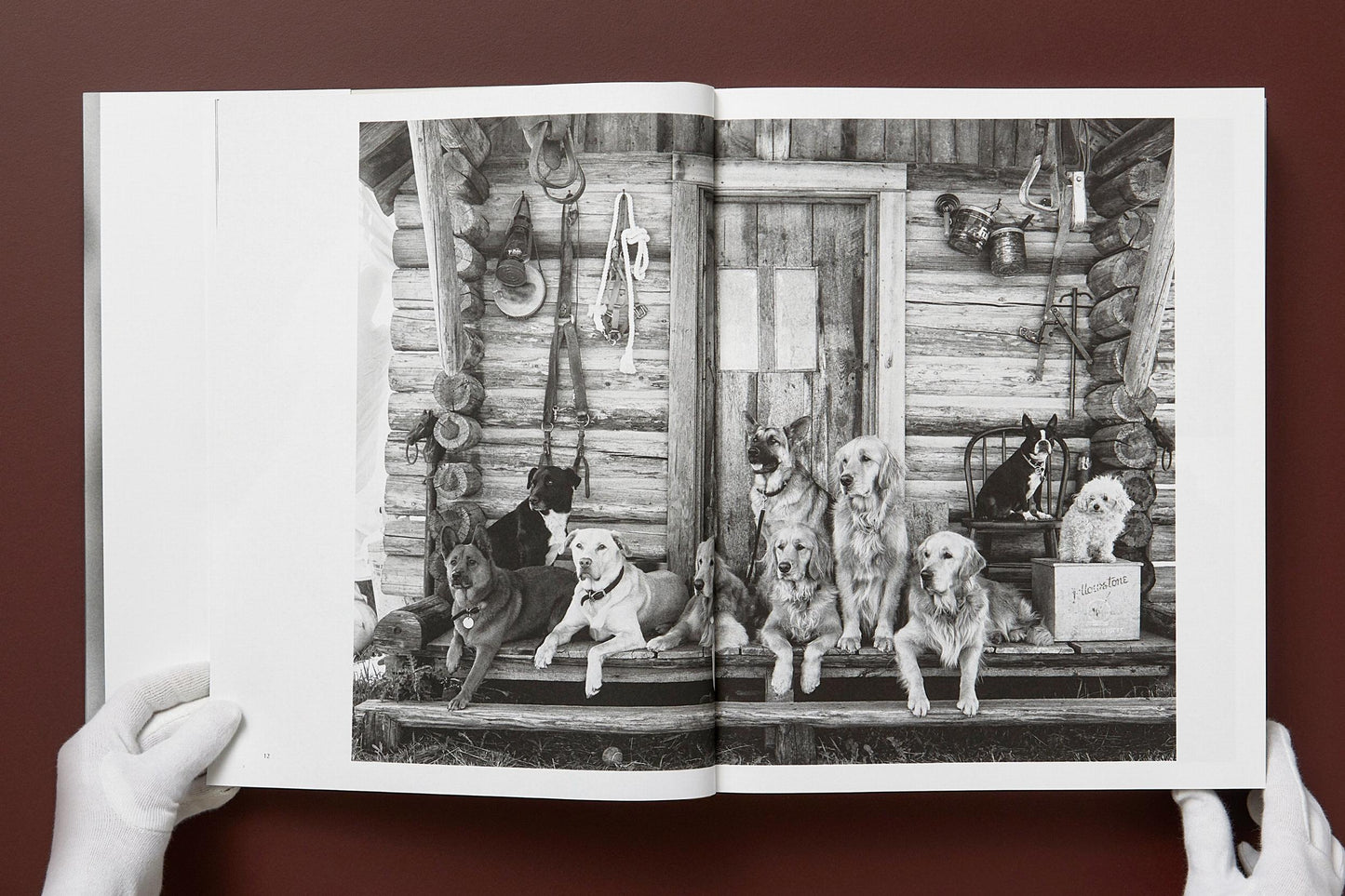 Bruce Weber. The Golden Retriever Photographic Society. Art Edition No. 1–100 ‘Little Bear Ranch, Montana, 1996’ (German, French, English)